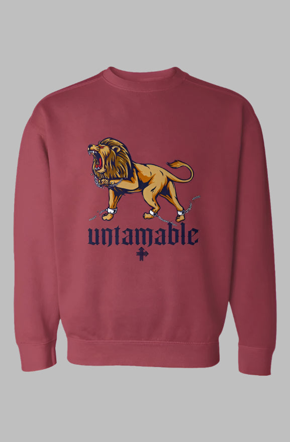 UNTAMABLE Upward & Onward Gym Sweatshirt
