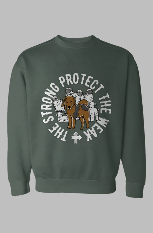 THE STRONG PROTECT THE WEAK Upward & Onward Gym Sweatshirt 
